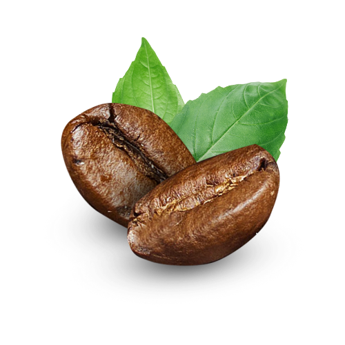 Kahve Çekirdeği